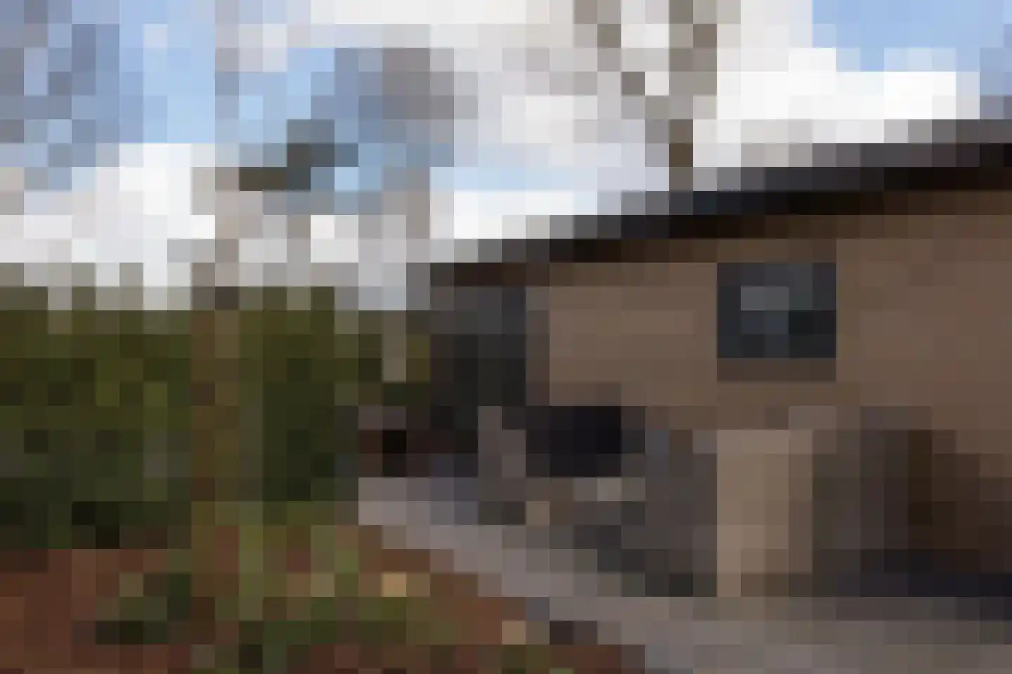 Poolseweg 27 120 Putten thumbnail 12