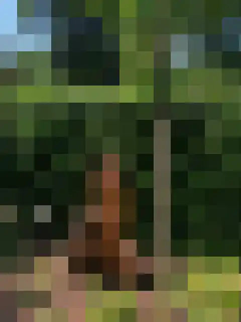 Poolseweg 27 120 Putten thumbnail 14