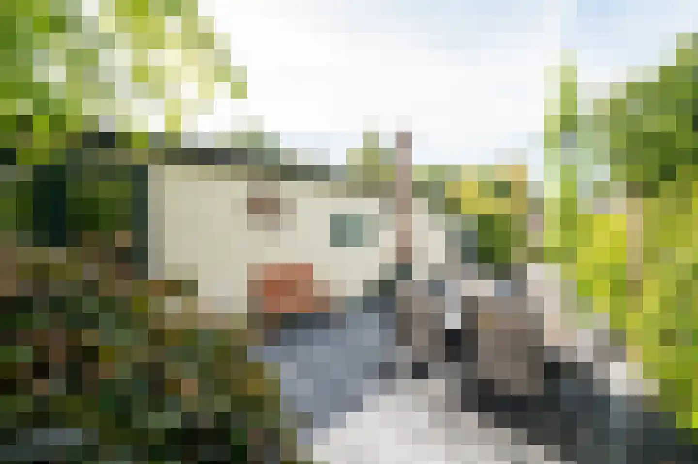 Poolseweg 27 153 Putten thumbnail 27