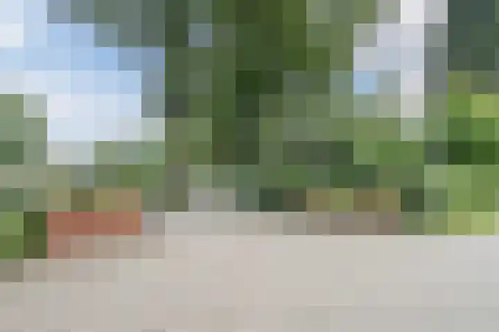 Poolseweg 27 37 Putten thumbnail 31