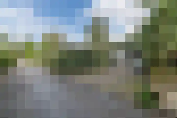 Poolseweg 27 37 Putten thumbnail 4