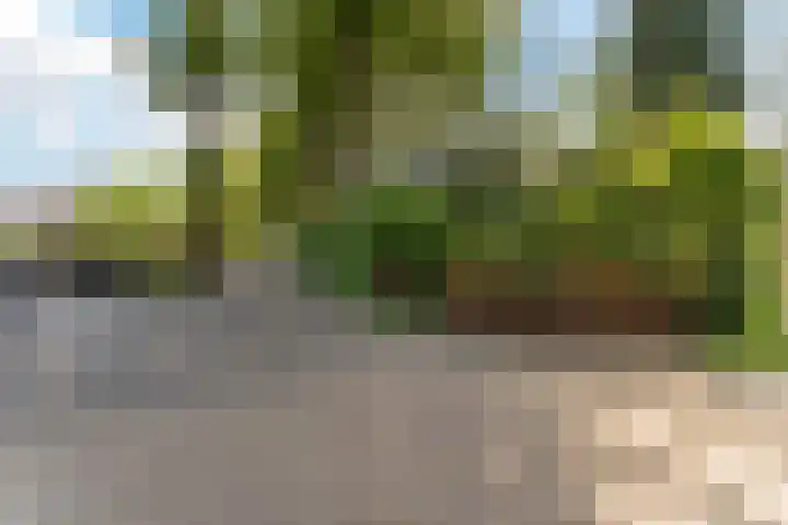 Poolseweg 27 7 Putten thumbnail 25
