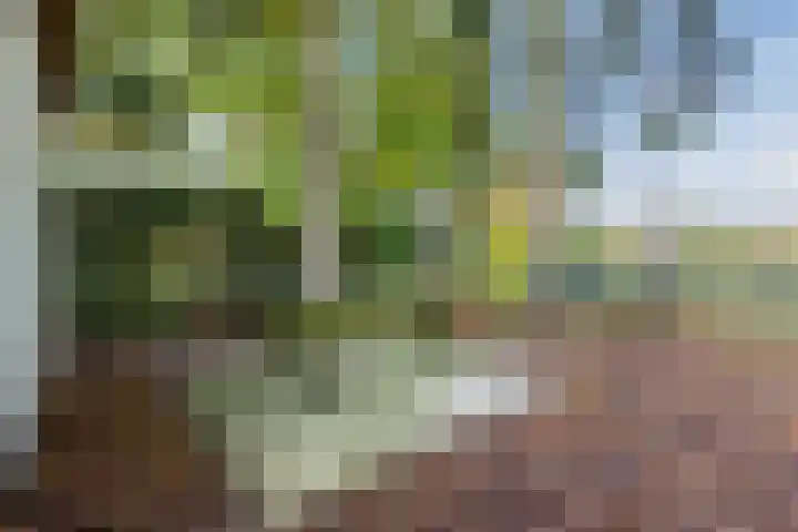 Poolseweg 27 76 Putten thumbnail 24