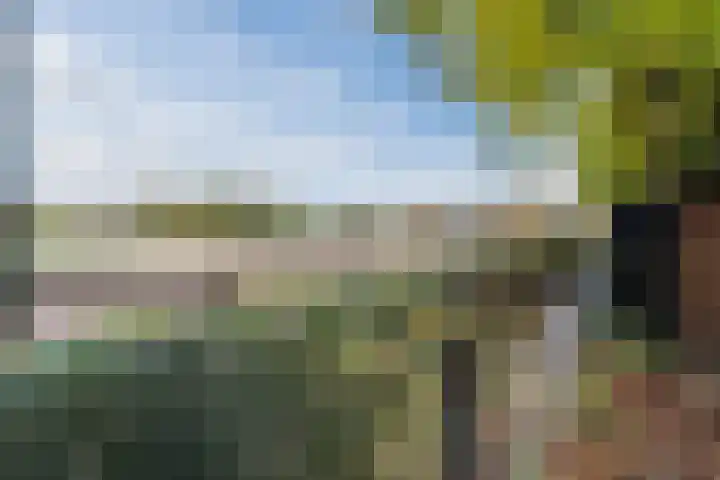 Poolseweg 27 76 Putten thumbnail 25