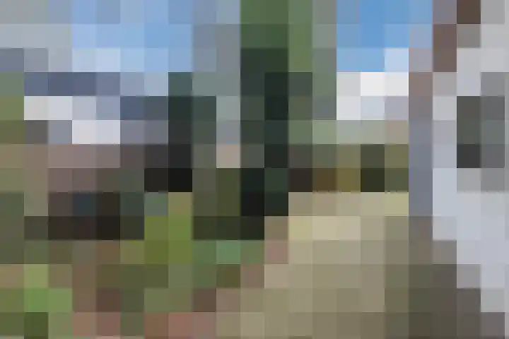 Poolseweg 27 76 Putten thumbnail 29