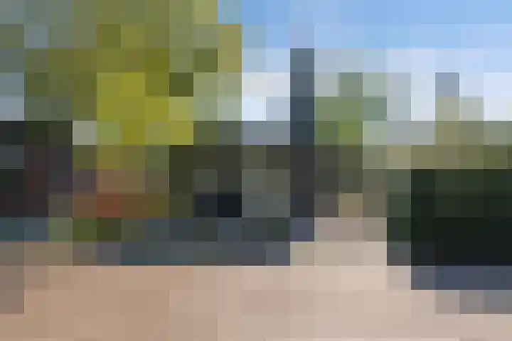 Poolseweg 27 98 Putten thumbnail 17