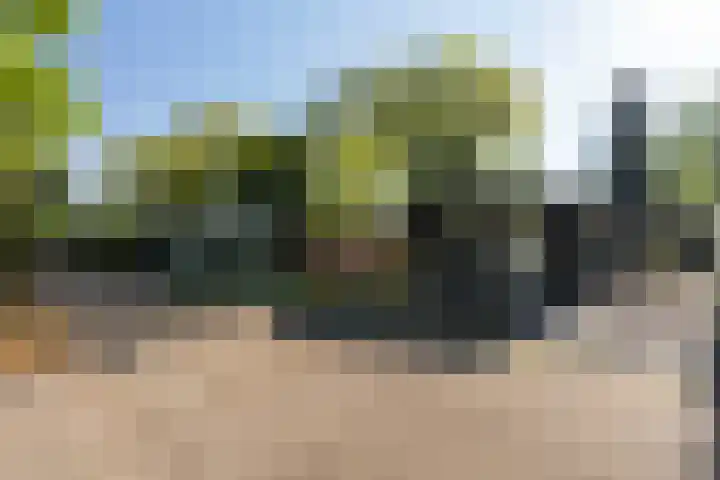 Poolseweg 27 98 Putten thumbnail 18