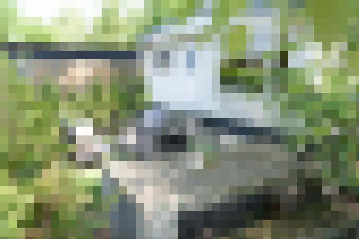 Poolseweg 27 Putten thumbnail 29