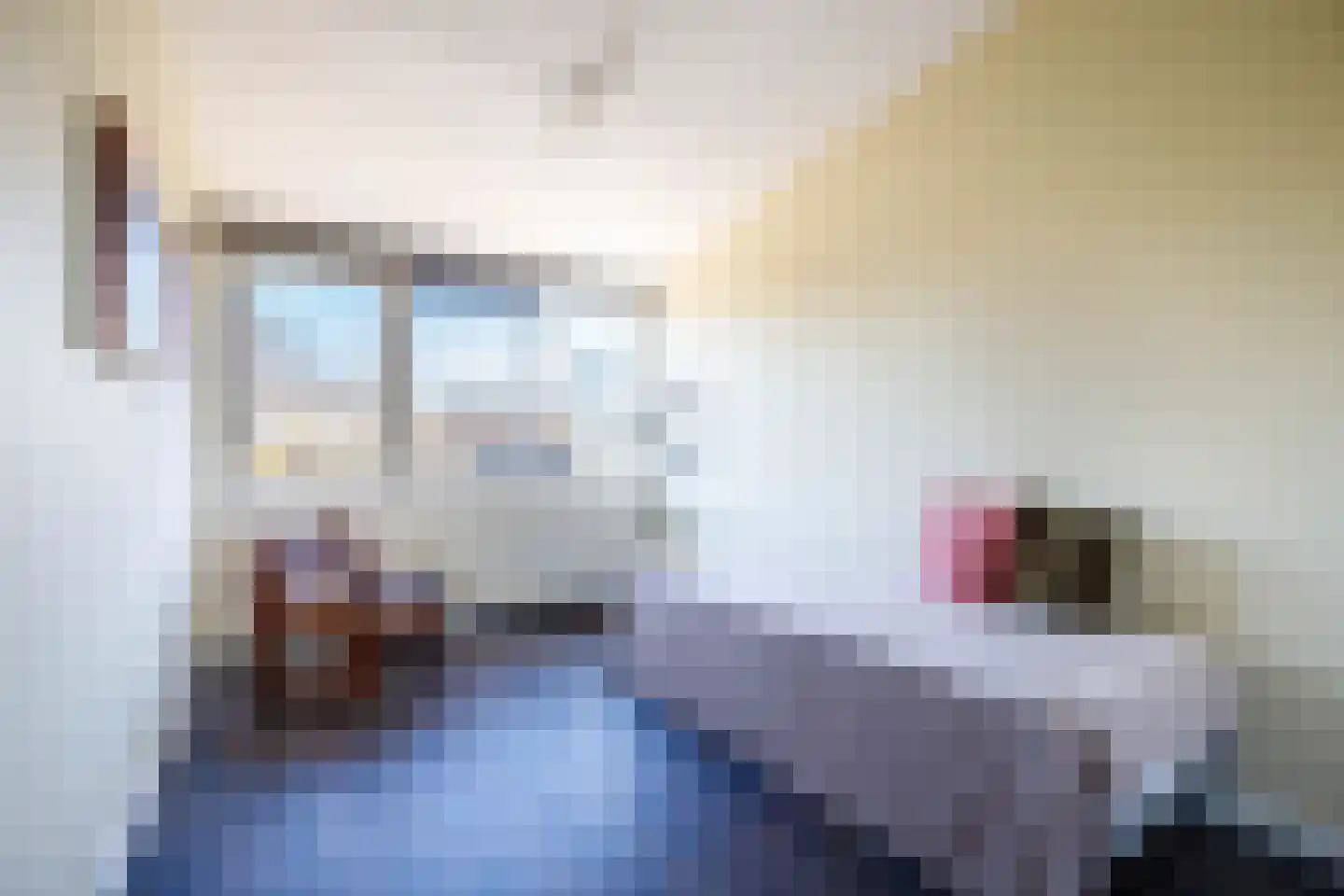 Poolsezoom 38 Nieuwerkerk aan den IJssel thumbnail 36