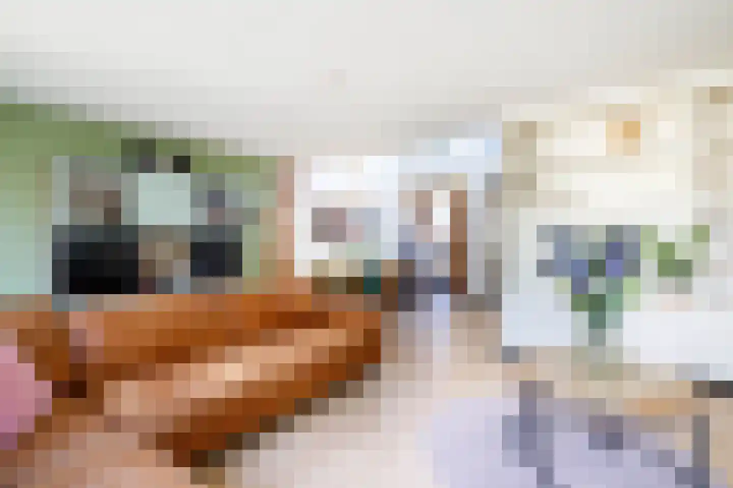 Poolsezoom 38 Nieuwerkerk aan den IJssel thumbnail 6