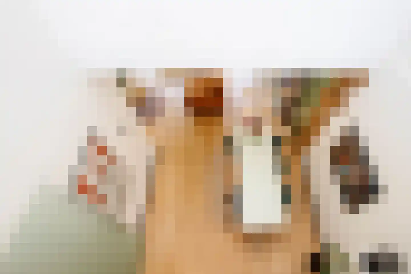 Poolsezoom 38 Nieuwerkerk aan den IJssel thumbnail 8