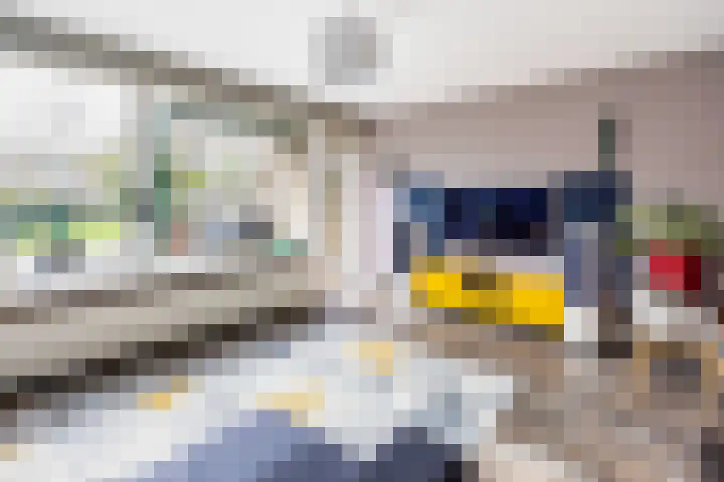 Poolshof 12 Wassenaar thumbnail 4