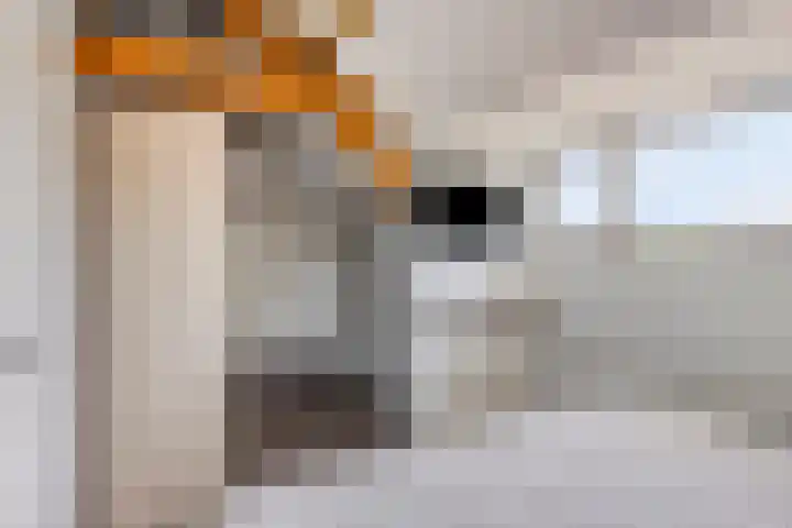 Poolsplein 4 Kloosterzande thumbnail 22