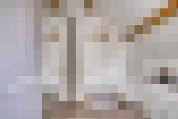 Poolsplein 4 Kloosterzande thumbnail 23