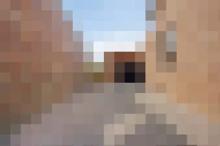 Poolsplein 4 Kloosterzande thumbnail 32
