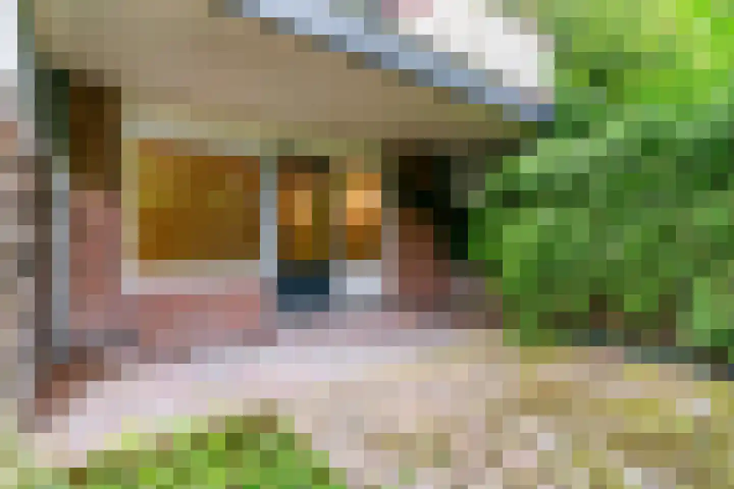 Poolster 102 Hoorn thumbnail 23