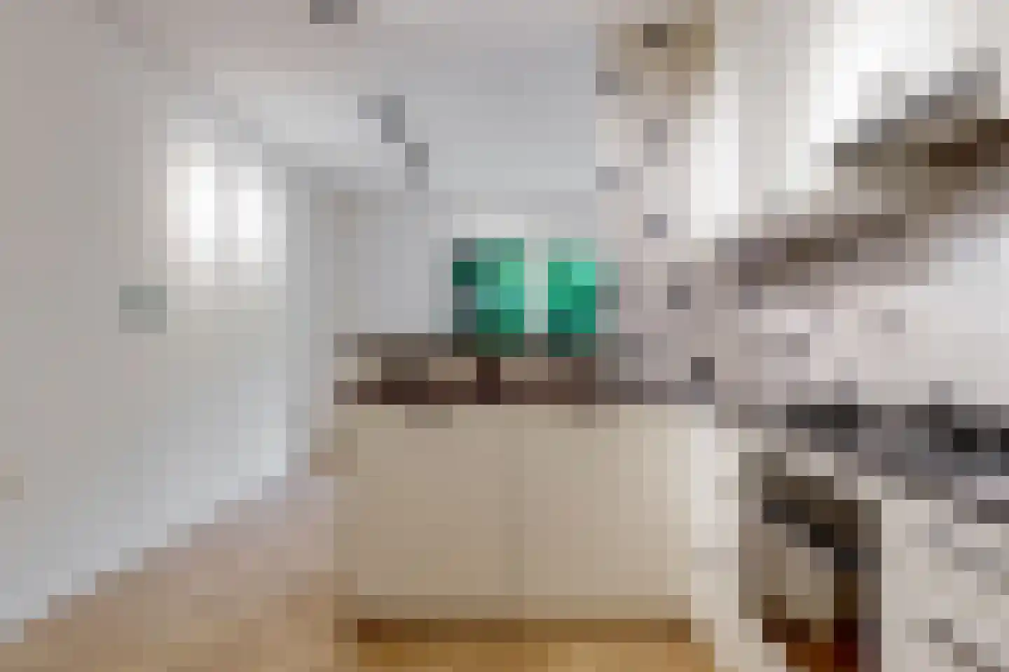 Poolster 102 Hoorn thumbnail 4