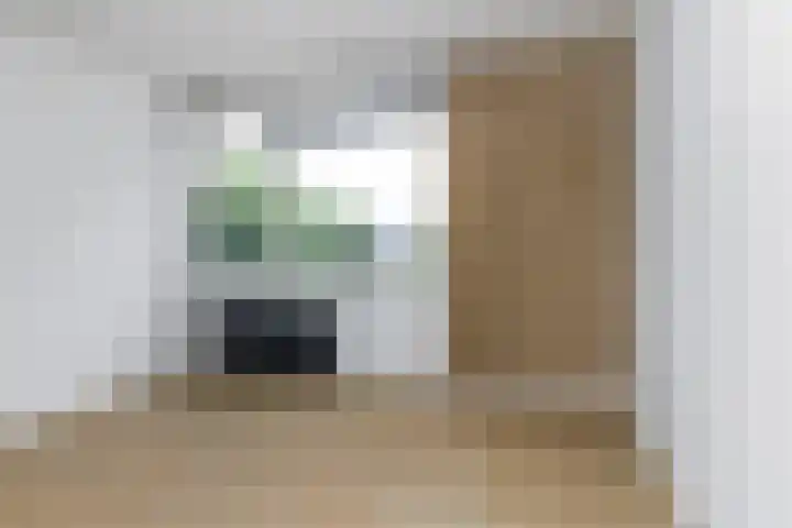 Poolster 11 Hoogeveen thumbnail 14
