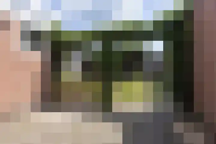 Poolster 11 Hoogeveen thumbnail 5
