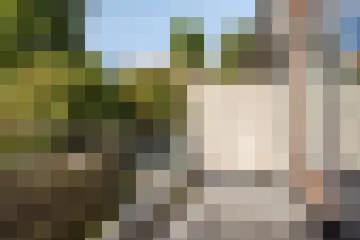 Poolster 111 Hoorn thumbnail 14