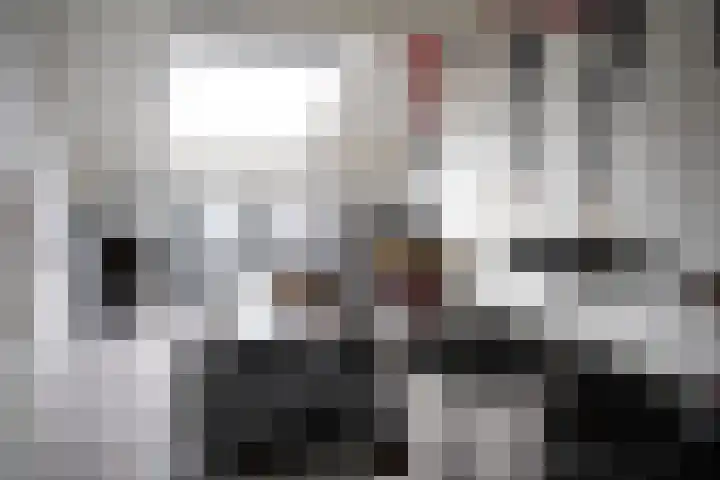 Poolster 119 Oostburg thumbnail 29