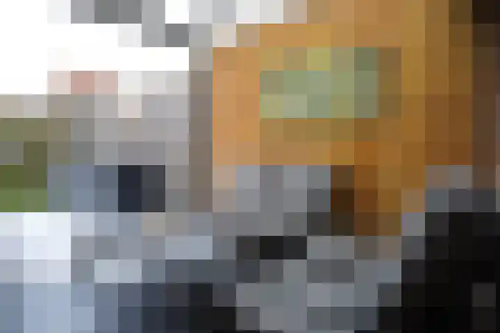 Poolster 119 Oostburg thumbnail 32