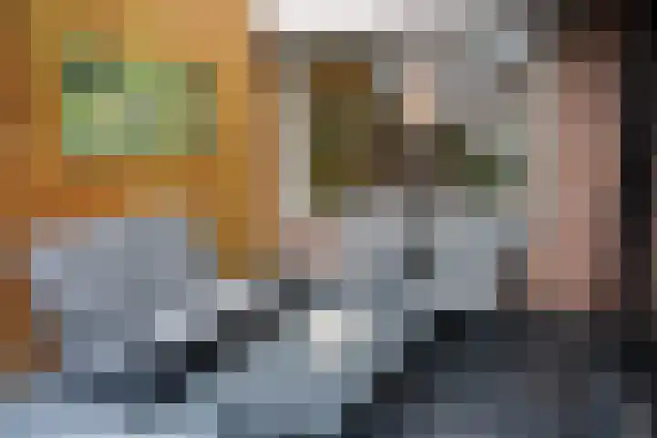 Poolster 119 Oostburg thumbnail 33