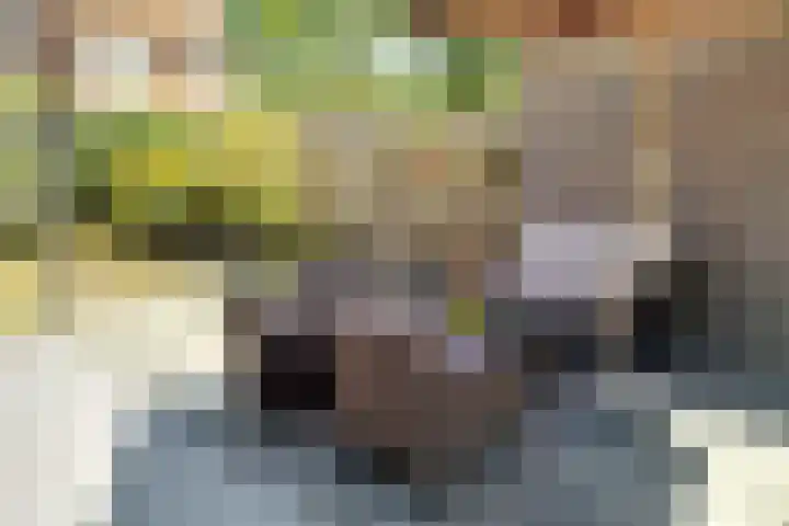 Poolster 119 Oostburg thumbnail 35