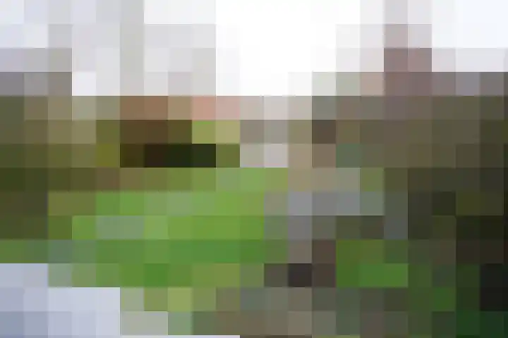 Poolster 119 Oostburg thumbnail 36