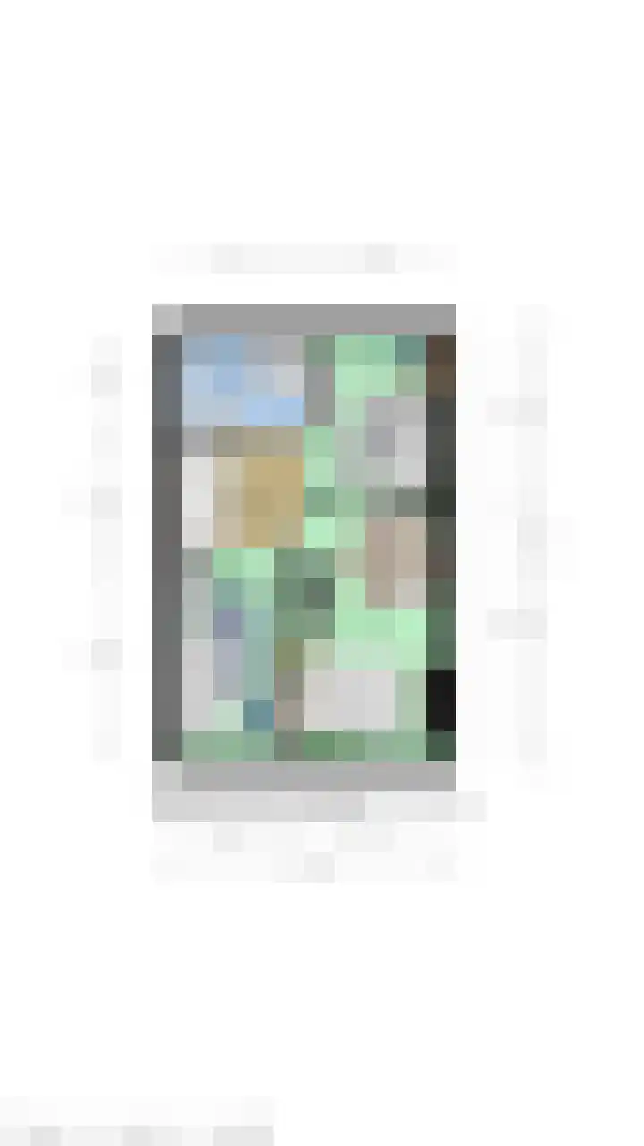 Poolster 119 Oostburg thumbnail 45