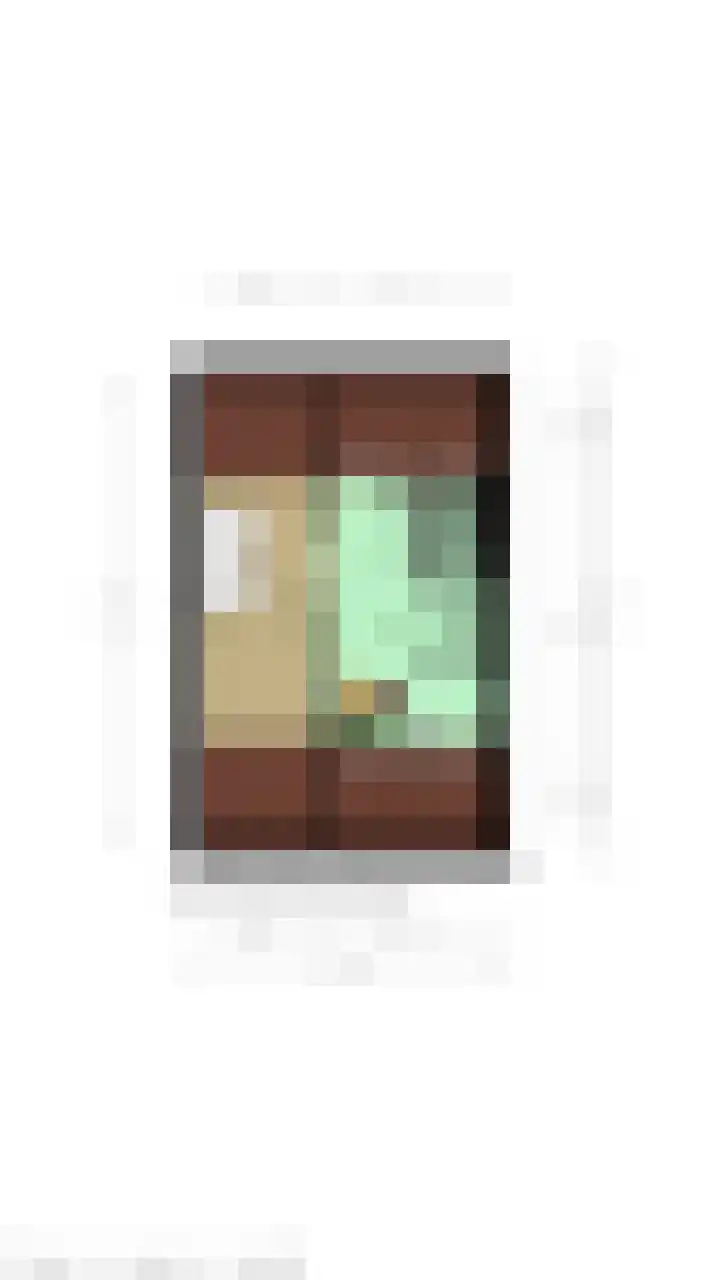 Poolster 119 Oostburg thumbnail 46