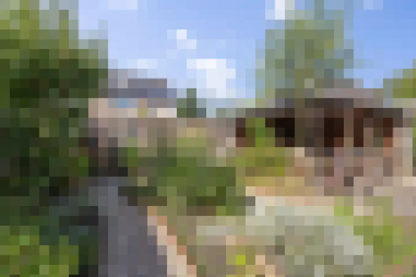 Poolster 12 Hoogeveen thumbnail 32