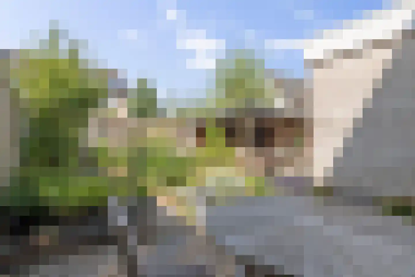 Poolster 12 Hoogeveen thumbnail 34