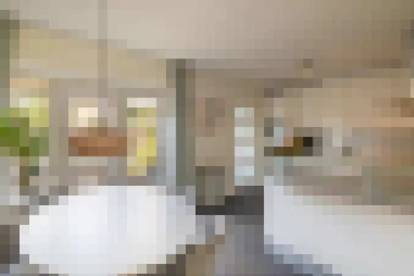 Poolster 12 Hoogeveen thumbnail 4