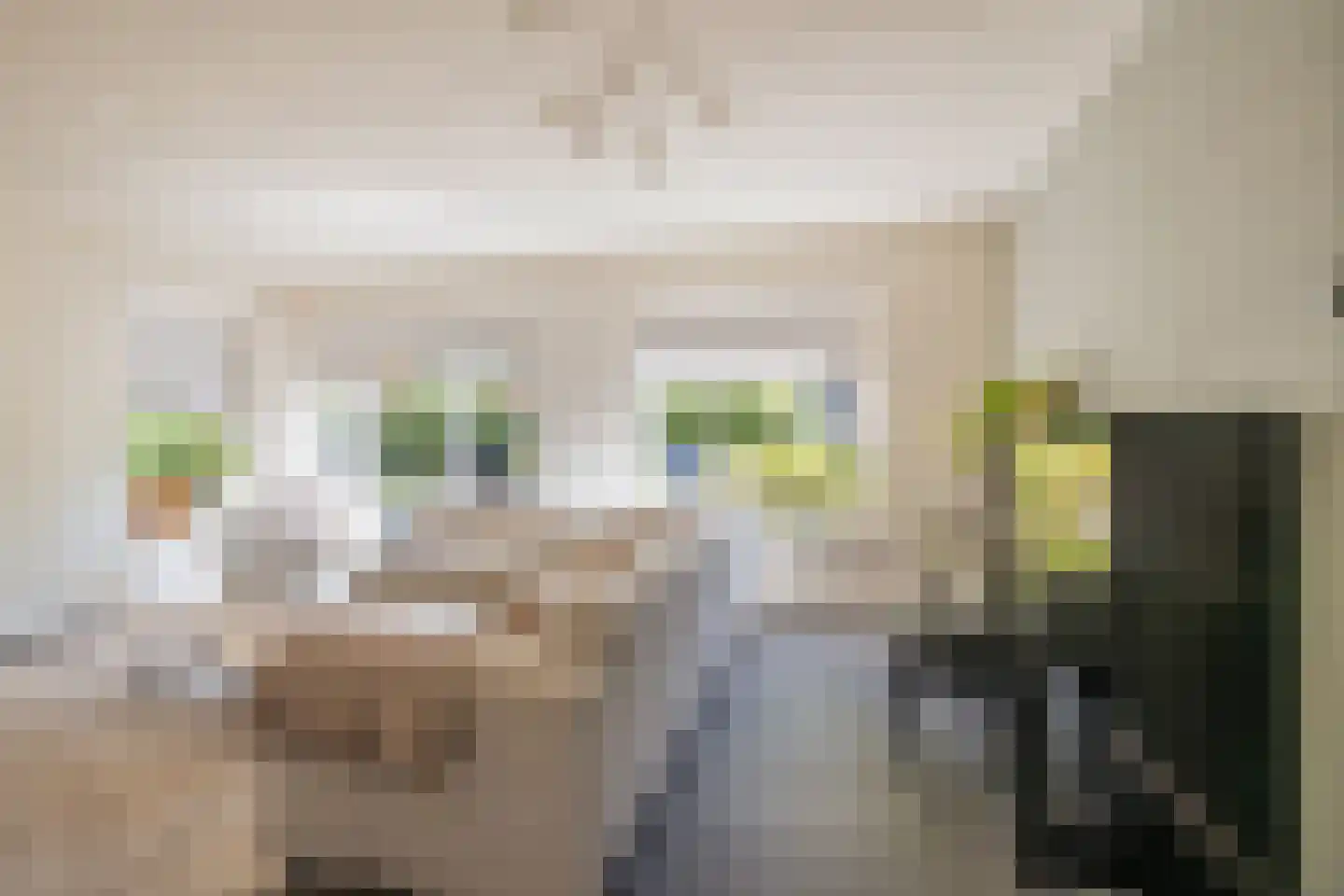 Poolster 12 Hoogeveen thumbnail 8