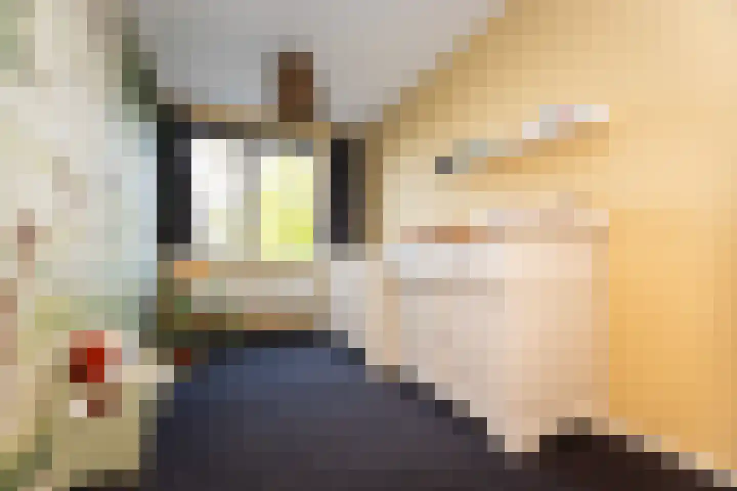 Poolster 129 Hoorn thumbnail 22