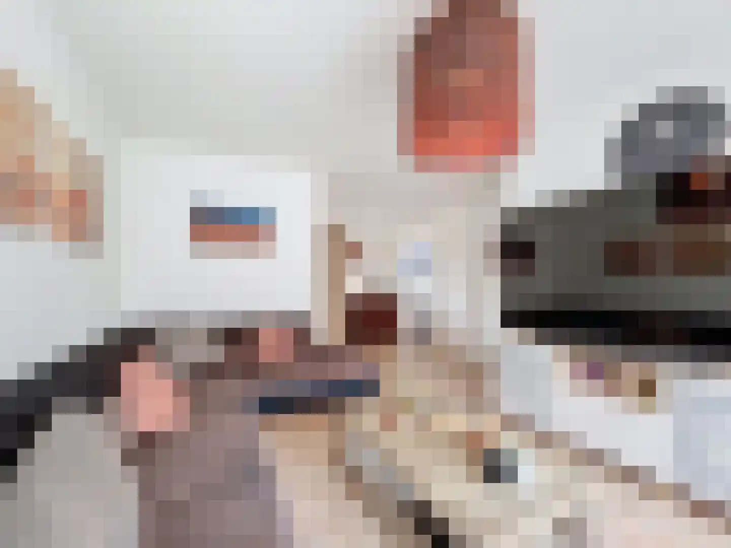Poolster 13 Oostburg thumbnail 8