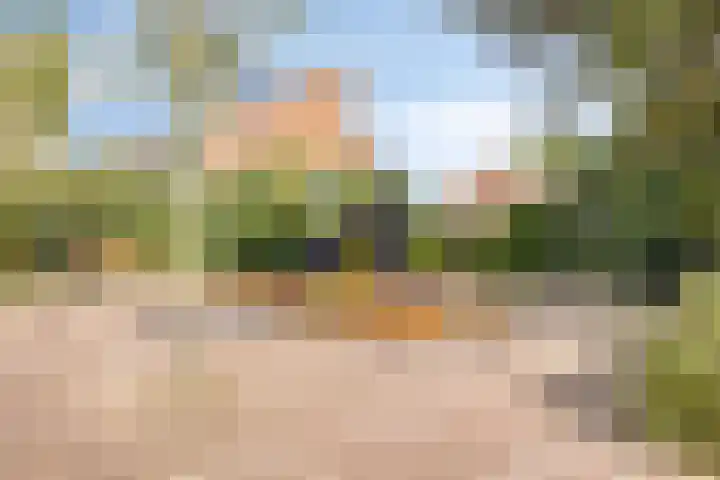 Poolster 131 Hoorn thumbnail 32