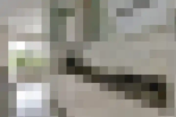 Poolster 139 Hoorn thumbnail 10