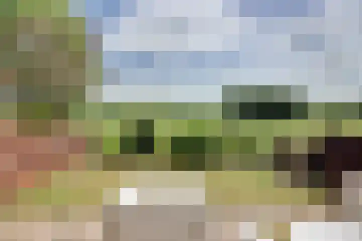 Poolster 139 Hoorn thumbnail 18