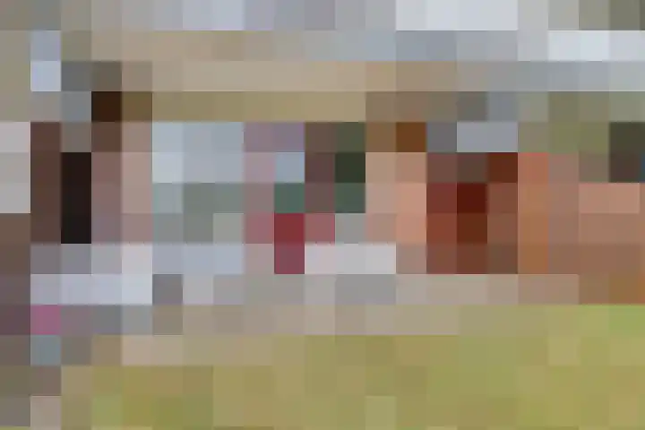 Poolster 139 Hoorn thumbnail 20