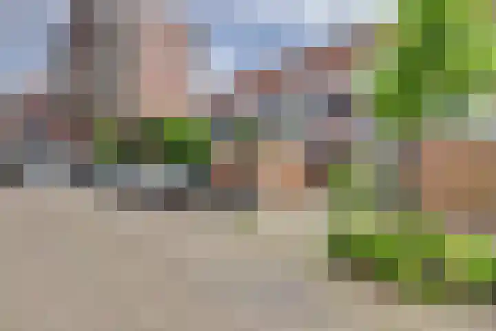 Poolster 139 Hoorn thumbnail 23