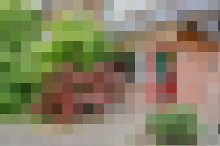 Poolster 139 Hoorn thumbnail 26