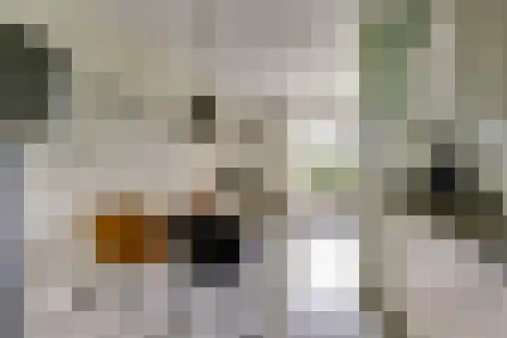 Poolster 139 Hoorn thumbnail 8