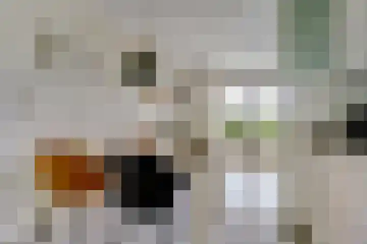 Poolster 139 Hoorn thumbnail 9