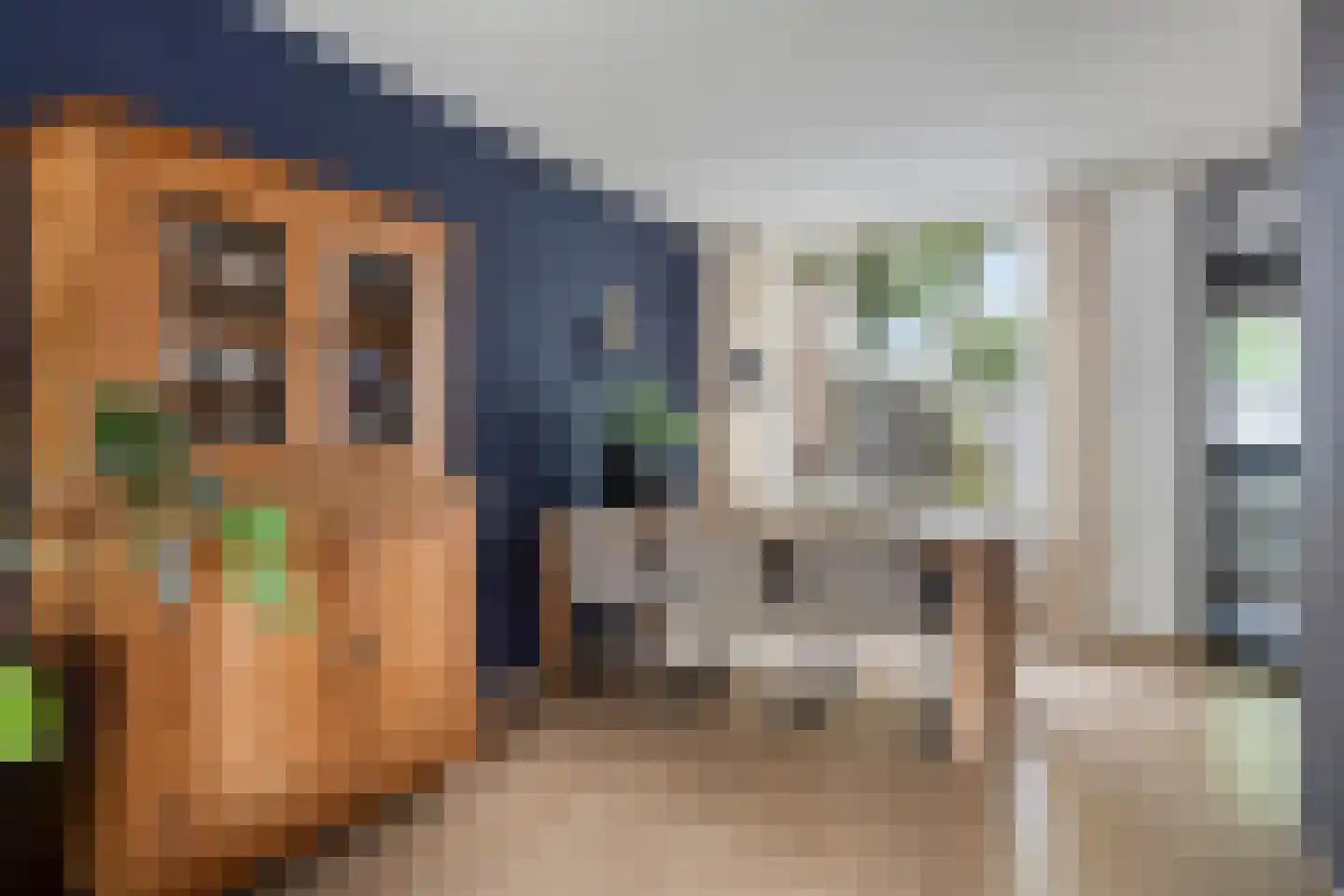 Poolster 144 Oostburg thumbnail 10