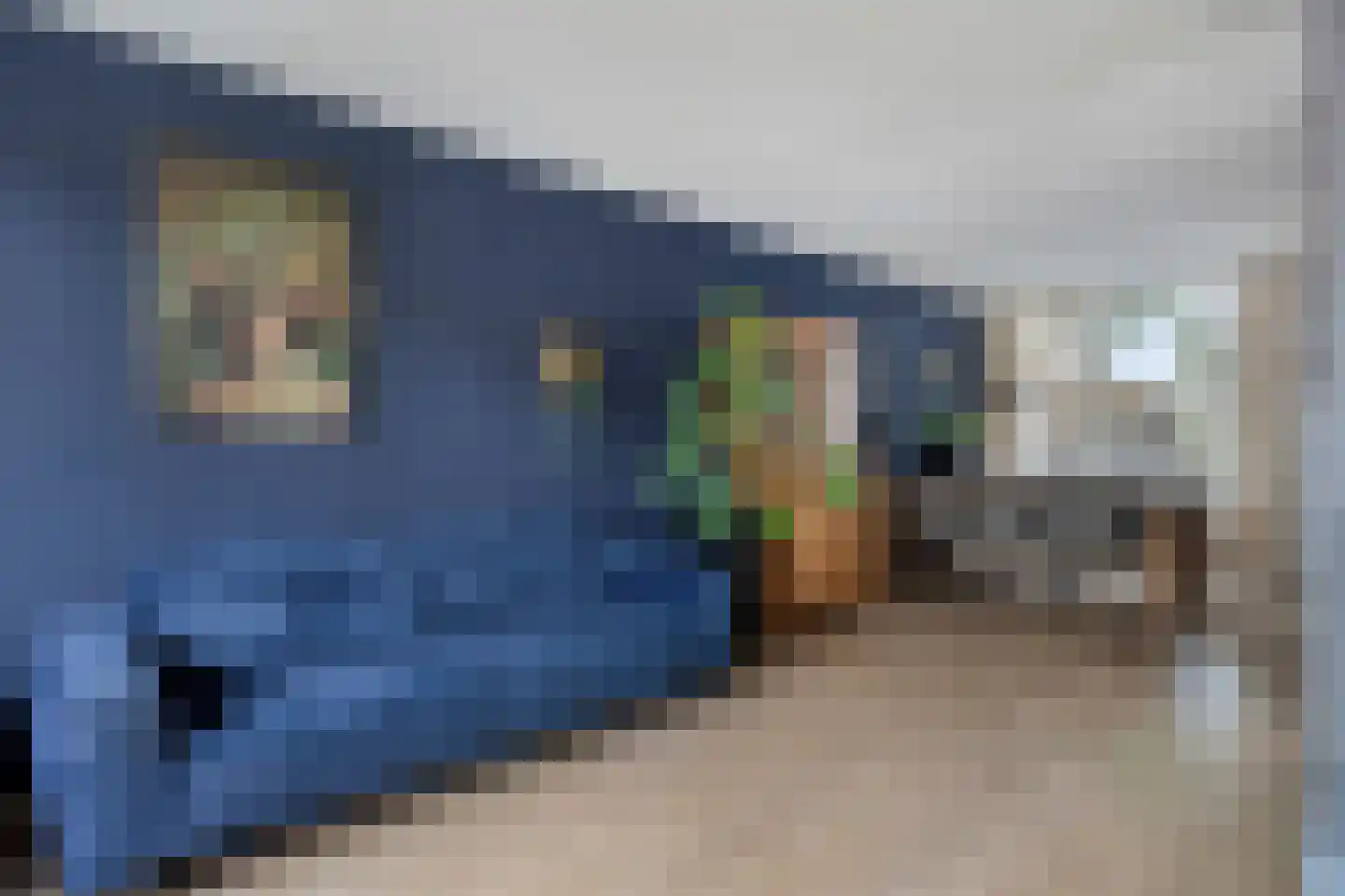 Poolster 144 Oostburg thumbnail 11