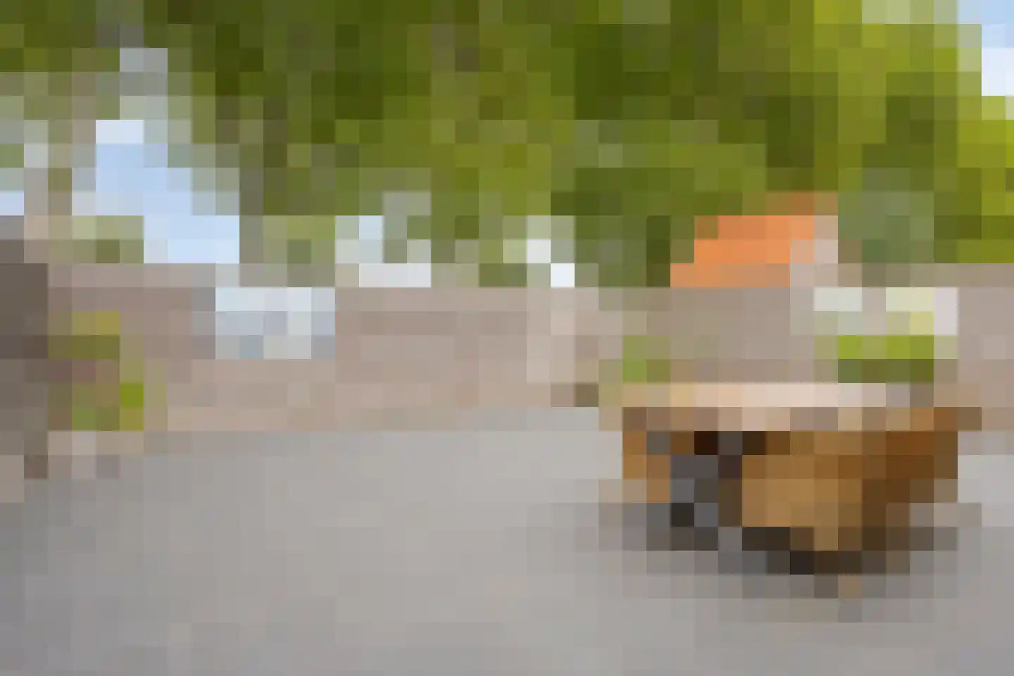 Poolster 144 Oostburg thumbnail 33