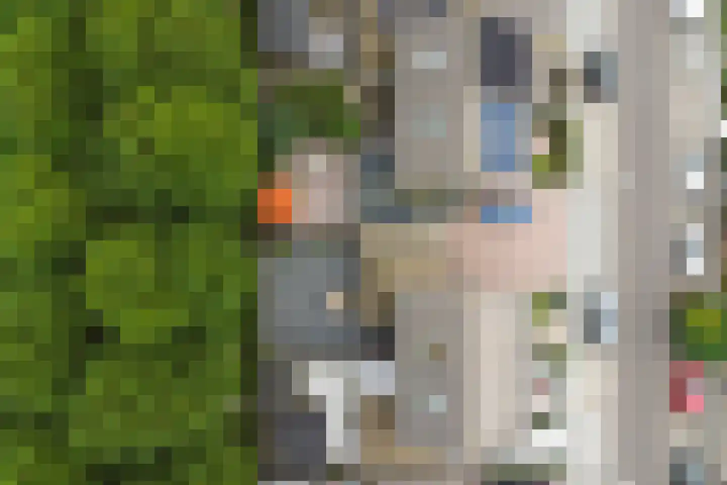 Poolster 144 Oostburg thumbnail 34