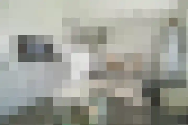 Poolster 155 Hoorn thumbnail 11